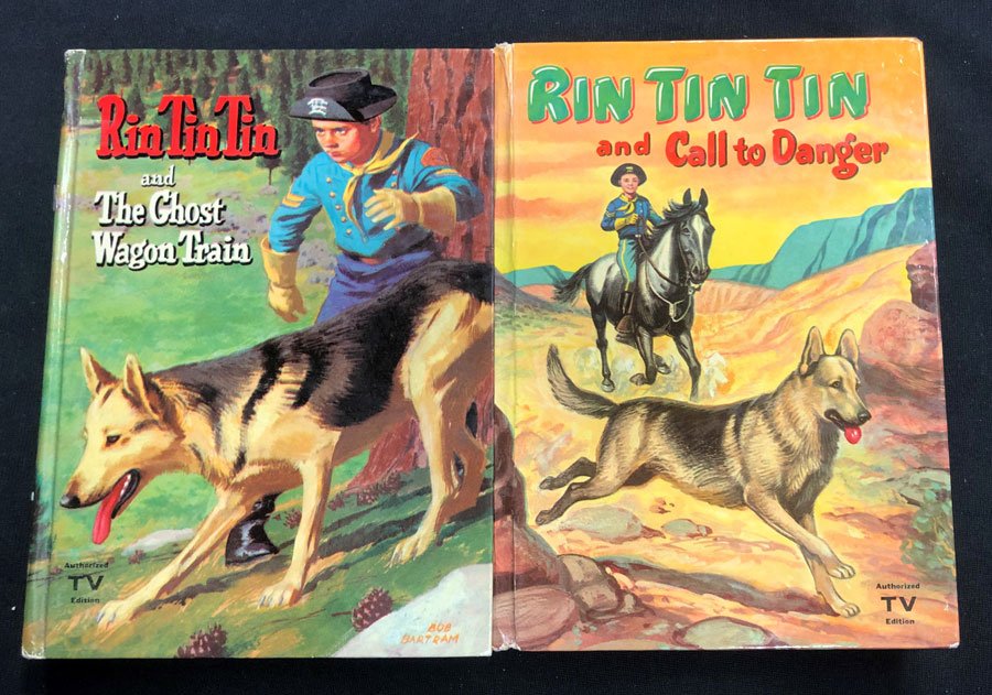 rin tin tin book review